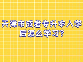 天津市成考专升本入学后怎么学习