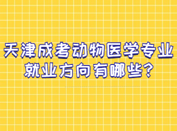 天津成考动物医学专业就业方向有哪些