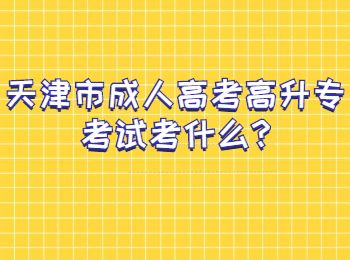 天津市成人高考高升专考试考什么