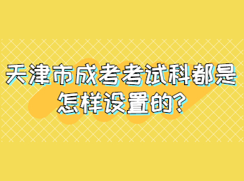 天津市成考考试科都是怎样设置的