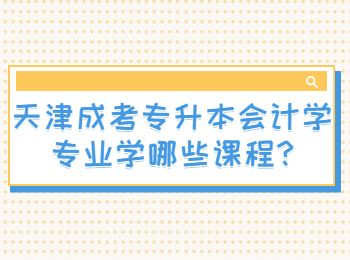 天津成考专升本会计学专业学哪些课程