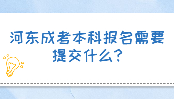 河东成考本科报名需要提交什么