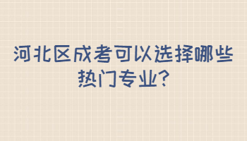 河北区成考可以选择哪些热门专业