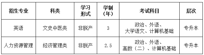 外国语.jpg