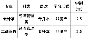 招生专业